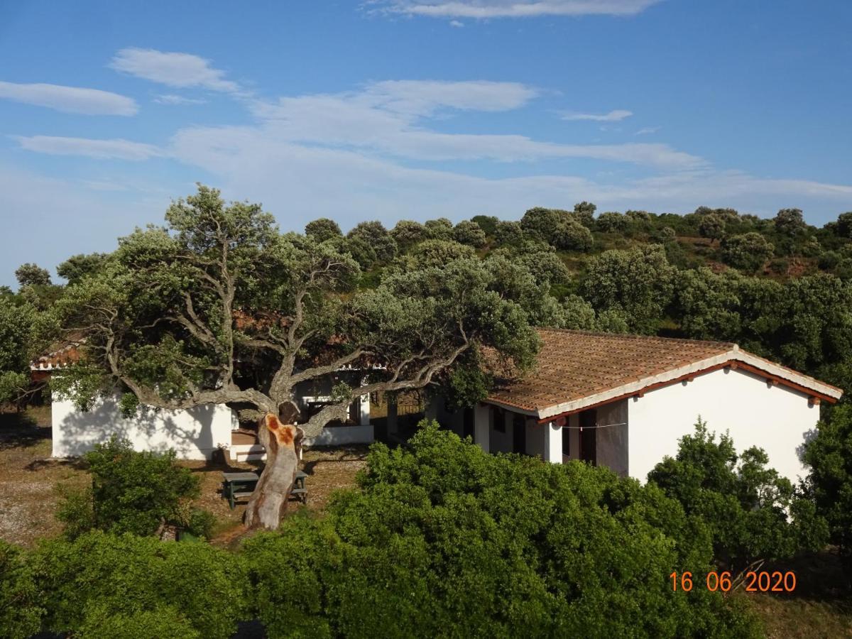 Agriturismo Conca' E Janas Dorgali Exterior photo